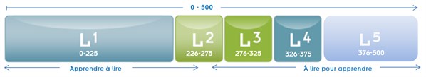 French Level Scale
